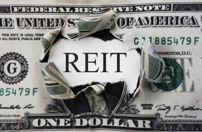 REIT industrija